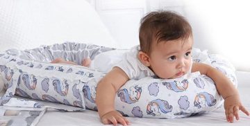 Best Baby Nests Review Guide For 2021-2022